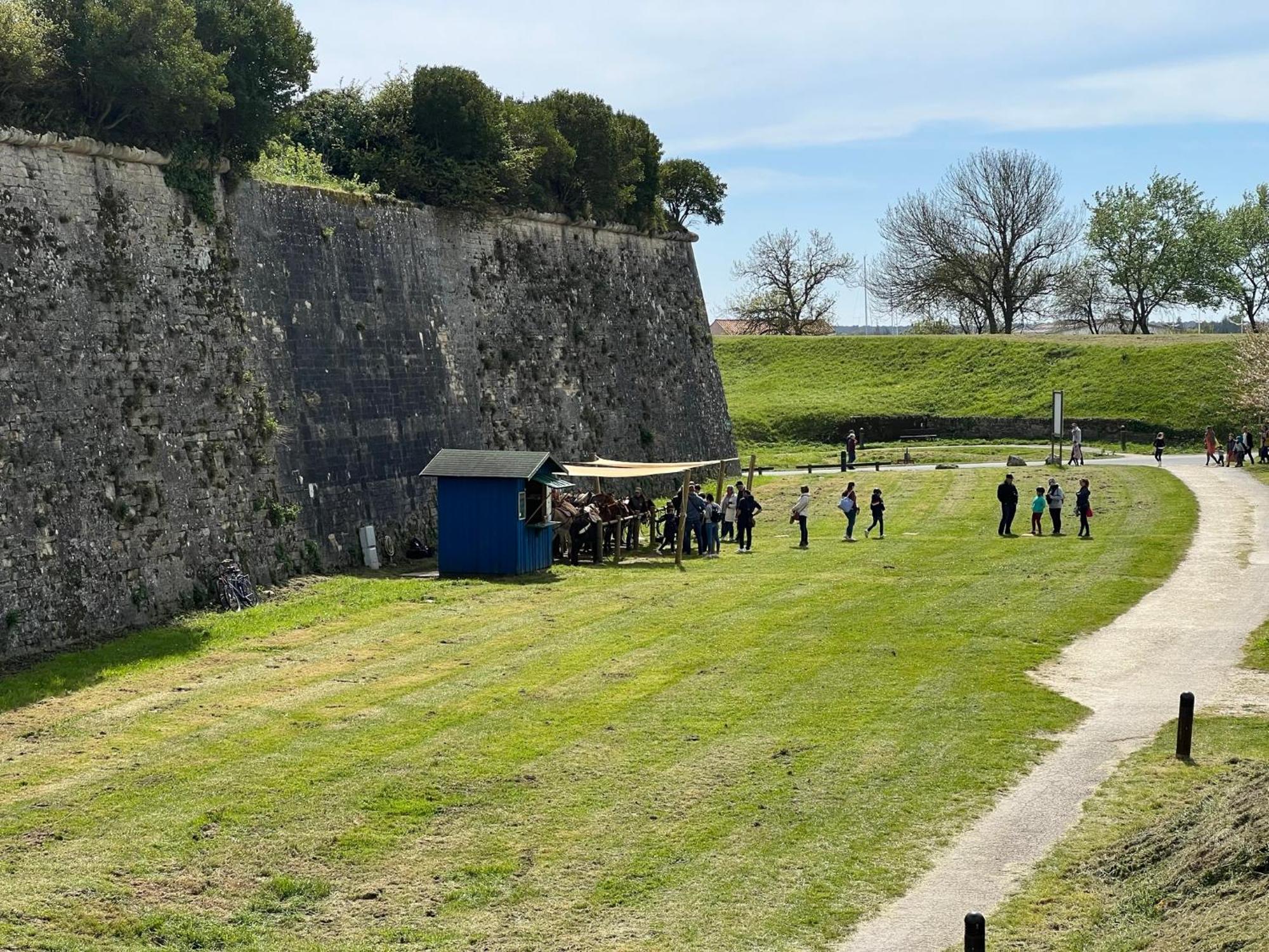 Les Amareyeurs - Ile D'Oleron - Maison Classee 3 Etoiles Avec Piscine - Clim - Velos Le Chateau d'Oleron Bagian luar foto